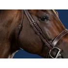 Bridle Cheekepieces Dy'on US Hunter Collection Brown
