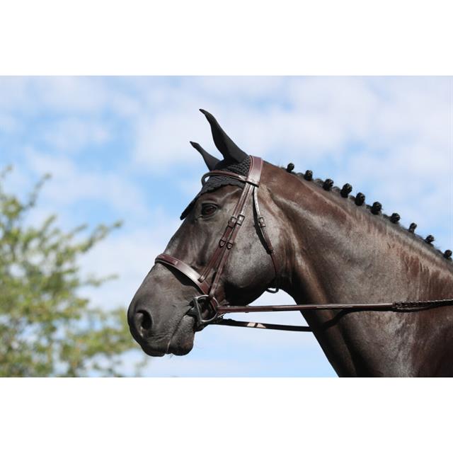 Bridle Dy'on Cavesson Hunter US Hunter Collection Brown