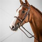 Bridle Dy'on Cavesson US Hunter Collection Brown