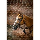 Bridle Dy'on Double Noseband D Collection Black