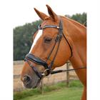 Bridle Dy'on DRC Matt Black-Black
