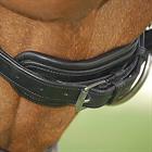 Bridle Dy'on DRC Matt Black-Black