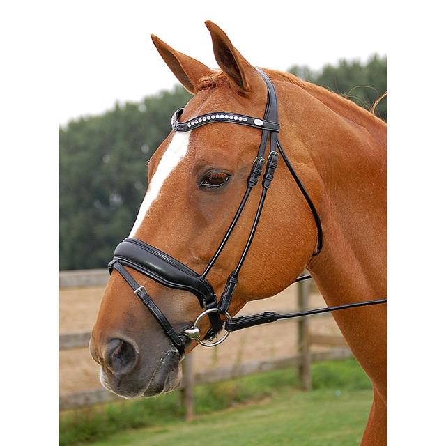 Bridle Dy'on DRC Matt Black-Black