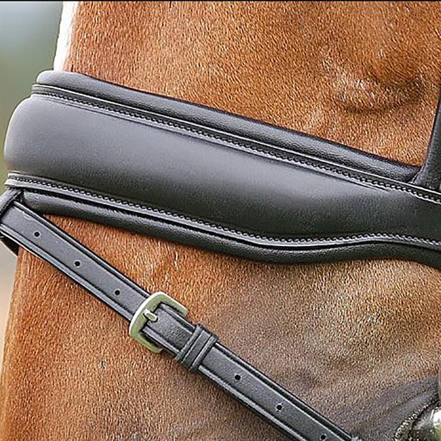Bridle Dy'on DRC Matt Black-Black