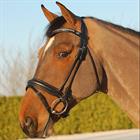 Bridle Dy'on Dressage Round Stitched Medium Black