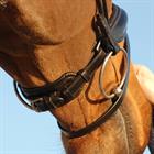 Bridle Dy'on Dressage Round Stitched Medium Black