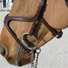 Bridle Dy'on NEC X Fit Brown