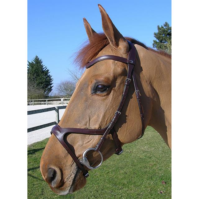 Bridle Dy'on NEC X Fit Brown