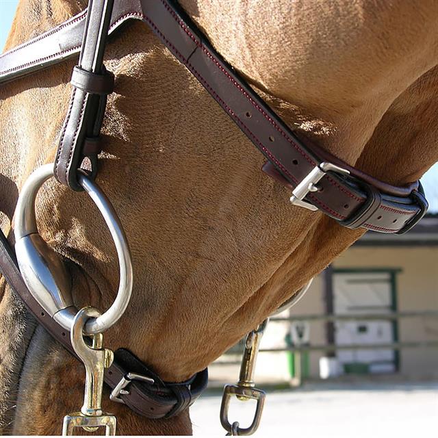 Bridle Dy'on NEC X Fit Brown