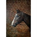 Bridle Dy'on Rope Drop Noseband D Collection Black