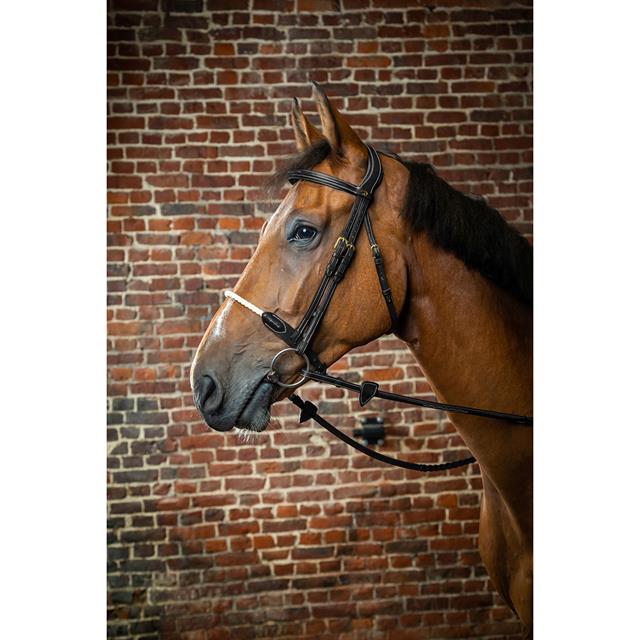 Bridle Dy'on Rope Noseband D Collection Black