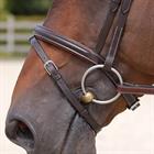 Bridle Dy'on WC Classic Flash Brown