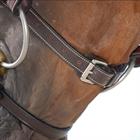 Bridle Dy'on WC Classic Flash Brown