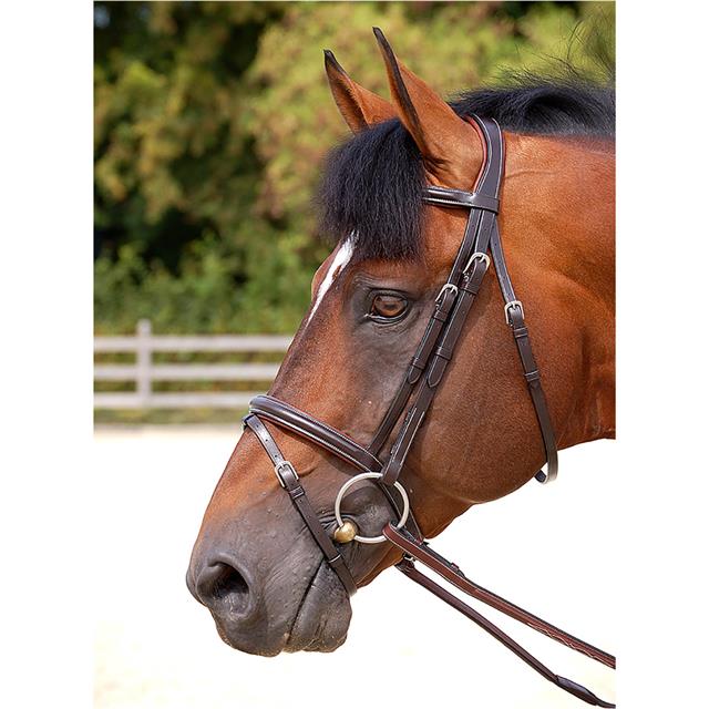 Bridle Dy'on WC Classic Flash Brown