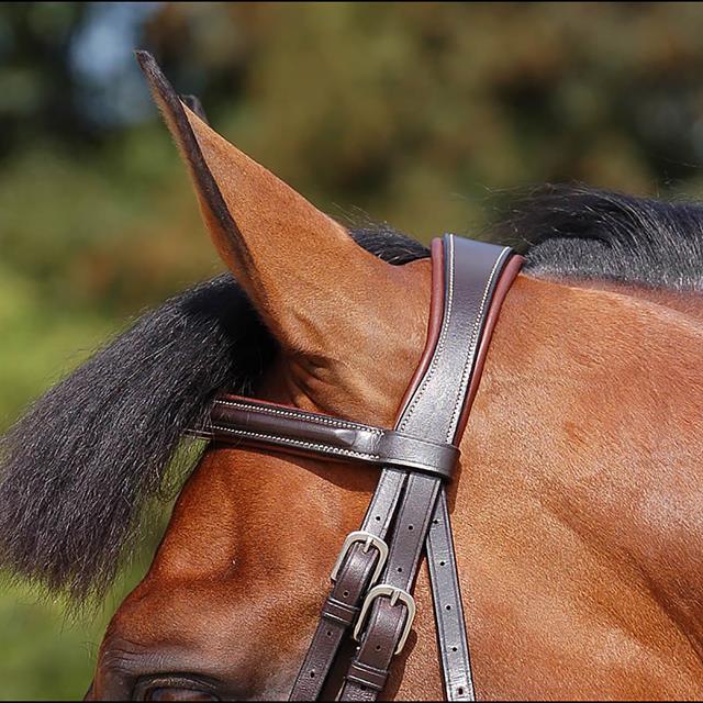 Bridle Dy'on WC Classic Flash Brown