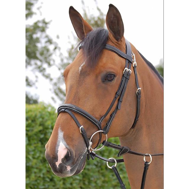 Bridle Dy'on Working Collection Flash Noseband With Snap Hooks Black