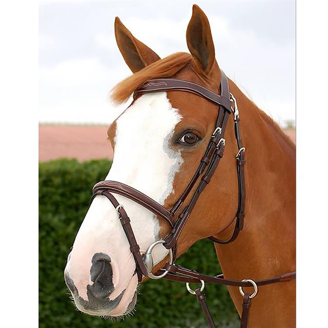 Bridle Dy'on Working Collection Flash Noseband With Snap Hooks Brown