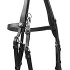 Bridle Dy'on Working Collection Flat Leather With Snap Hooks Black