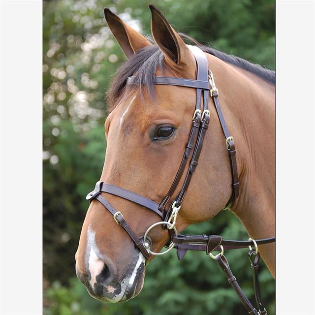 Bridle Dy'on Working Collection Flat Leather With Snap Hooks Brown