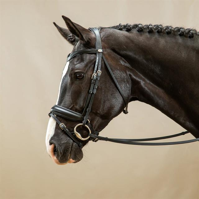 Bridle Dy'on Working Collection matt Large Crank With Flash Black