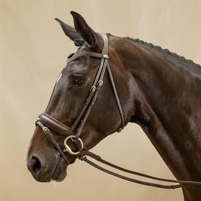 Bridle Dy'on Working Collection matt Large Crank With Flash Brown