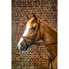 Bridle Dy'on X-Fit D Collection Brown