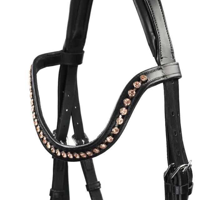 Bridle Epplejeck EJMontana Black