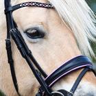 Bridle Epplejeck EJRosa Black-Pink