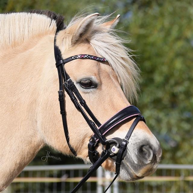 Bridle Epplejeck EJRosa Black-Pink