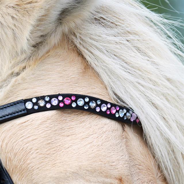 Bridle Epplejeck EJRosa Black-Pink