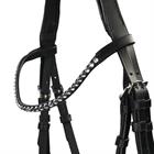 Bridle Epplejeck EJSantorini Black-White