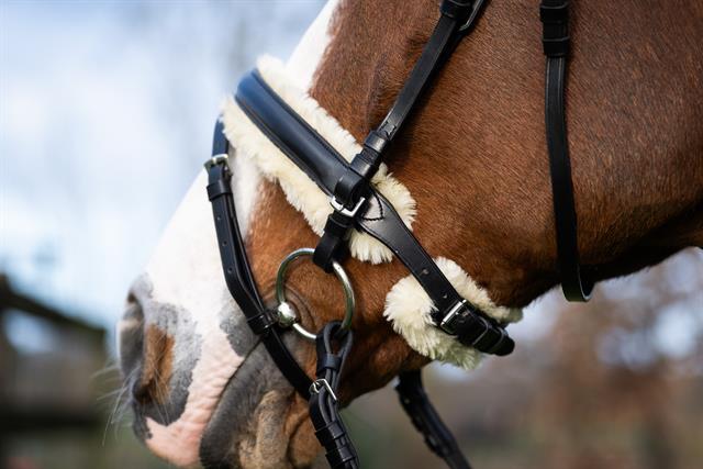 Bridle Epplejeck EJSensitive Black