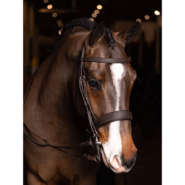 Bridle Flat Hunter LeMieux Brown