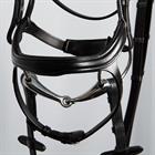 Bridle Harry's Horse Anatomic Black