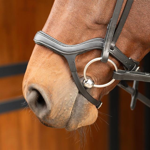 Bridle Harry's Horse Anatomic Black