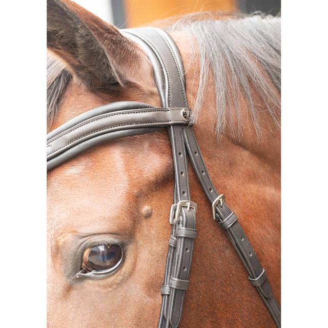 Bridle Harry's Horse Bombastic Black