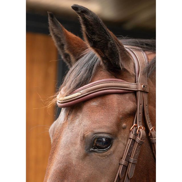 Bridle Harry's Horse Bombastic Brown