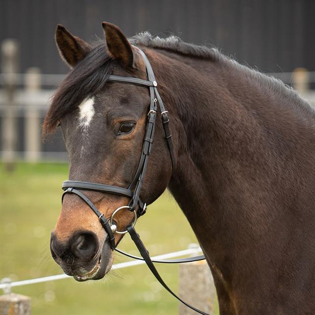 Bridle Harry's Horse Easy Care Black