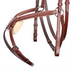 Bridle Harry's Horse Mexican Brown