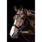 Bridle Harry's Horse Release Black