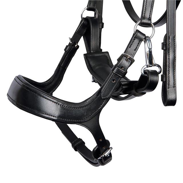 Bridle Harry's Horse Release Black