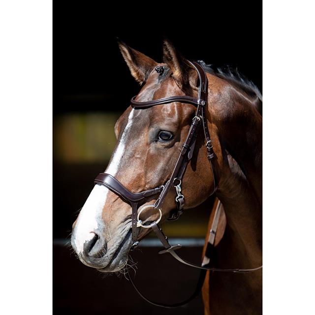 Bridle Harry's Horse Release Brown