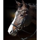 Bridle Harry's Horse Rosegold Anatomic Black-Gold