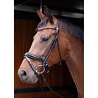 Bridle Harry's Horse Round-Stitched Lacque Black