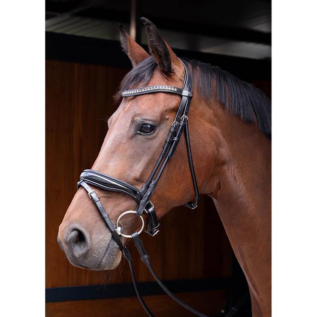 Bridle Harry's Horse Round-Stitched Lacque Black