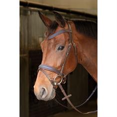 Bridle Havana Navy Harry's Horse Brown