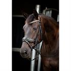 Bridle HB Showtime Golden Dreams Black-Gold