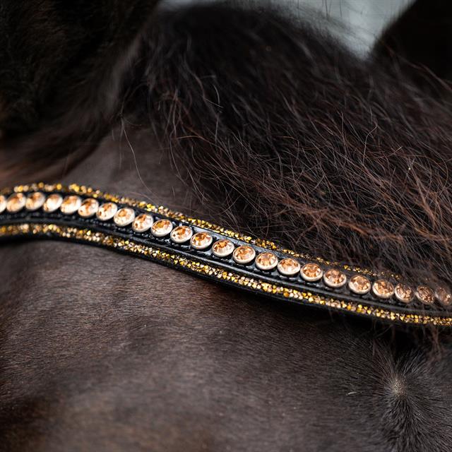 Bridle HB Showtime Golden Dreams Black-Gold