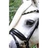 Bridle HB Showtime Special A-Pony Black-Red