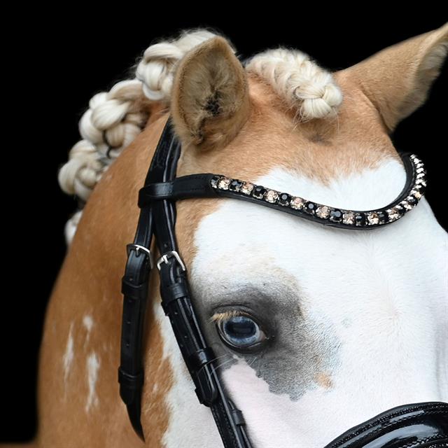 Bridle HB Showtime Special Black-Gold